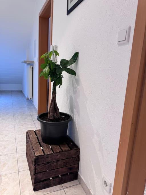 Apartament Casa Italia Oberasbach Zewnętrze zdjęcie